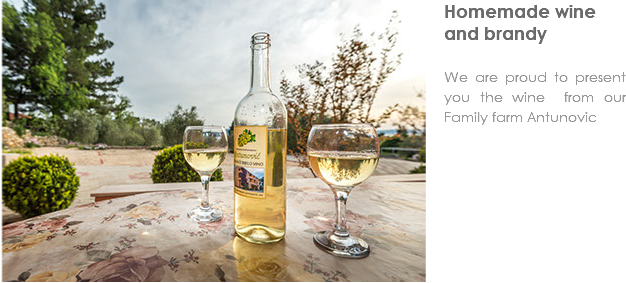 ﷯Homemade wine and brandy We are proud to present you the wine from our Family farm Antunovic

